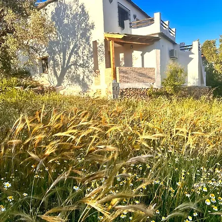 Cortijo Al-andalus