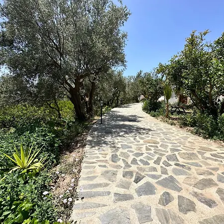 Cortijo Al-andalus Holiday home