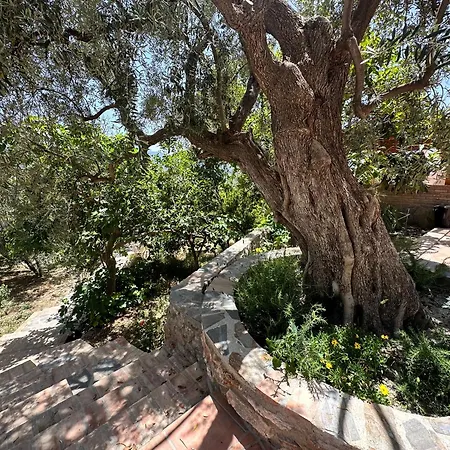Holiday home Cortijo Al-andalus *