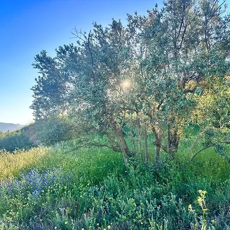 Cortijo Al-andalus Orgiva