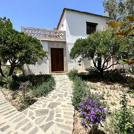 Cortijo Al-andalus Holiday home