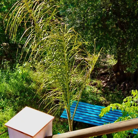 Cortijo Al-andalus Holiday home *