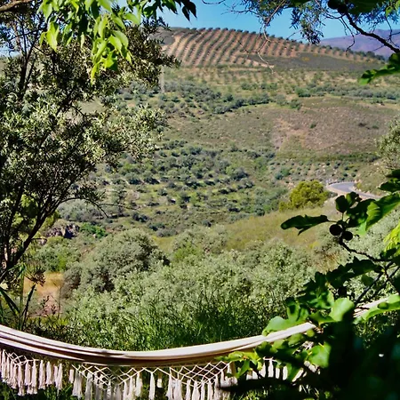 Cortijo Al-andalus Holiday home *