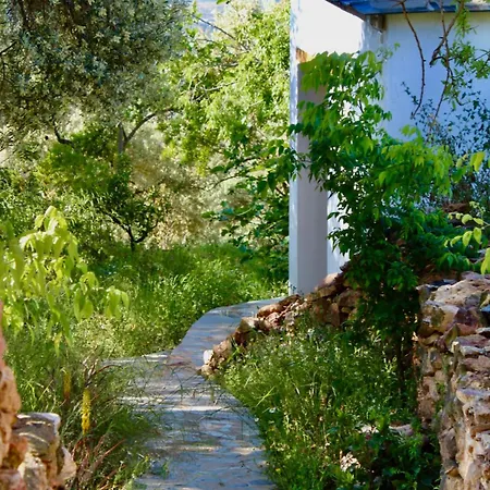 Cortijo Al-andalus * Orgiva