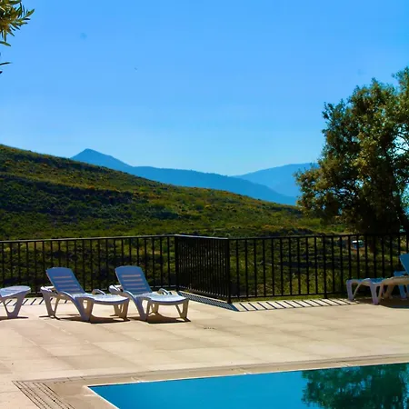 Cortijo Al-andalus Holiday home *